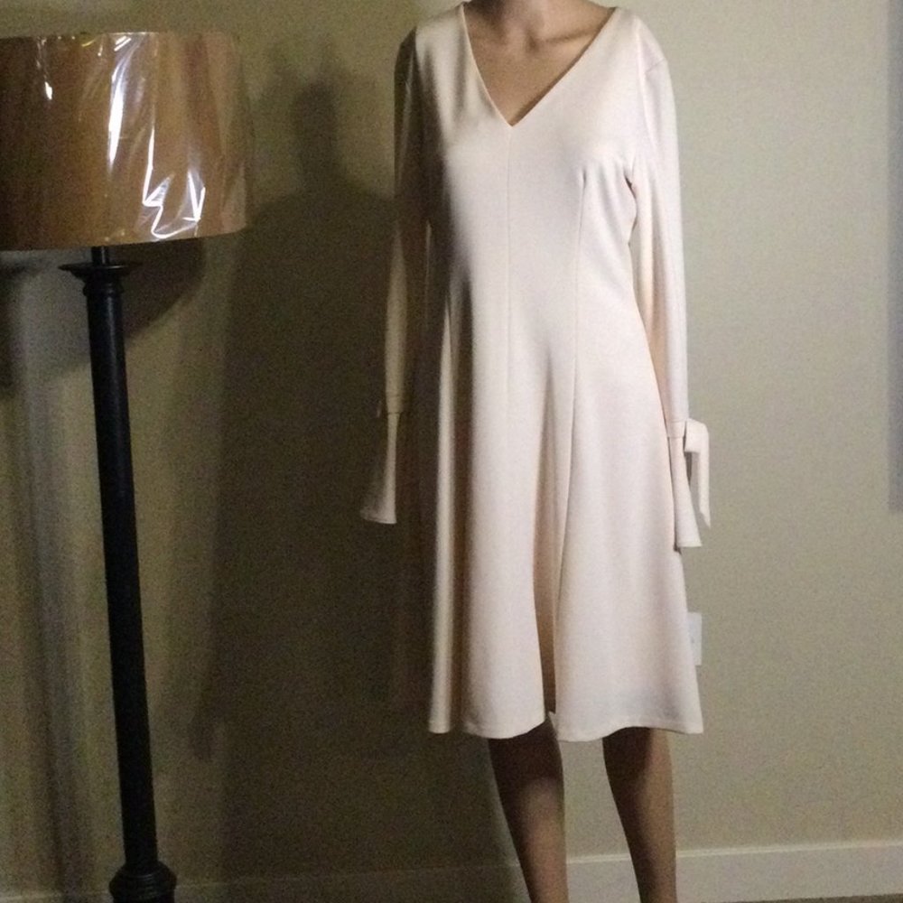 Dress - Picture 6 of 6